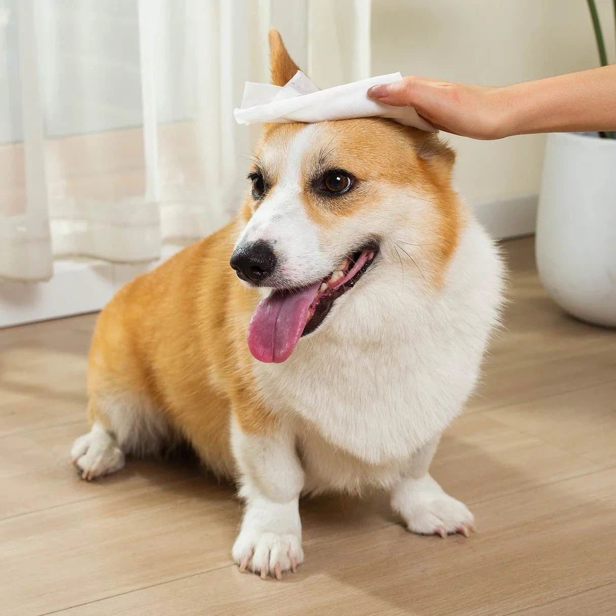 product-1214-1214 product-1214-1214